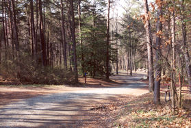 The road turns right down the hill and a small turnaround appears on the left.