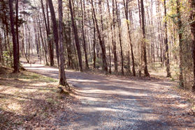 Another road intersects to the right. Stay to the left.