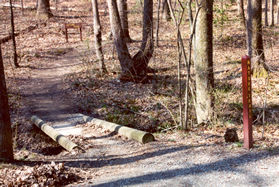 After walking down the road for a short distance turn left at the Nature Trail sign and cross the bridge shown.