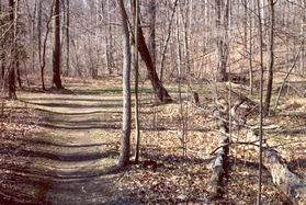 Turn right at the next major trail intersection.