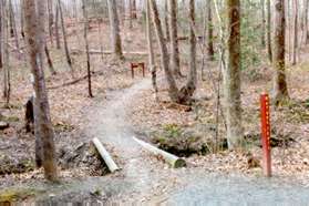 Turn left at the sign marked nature trail and follow the natural surface path to the right after crossing the bridge shown.