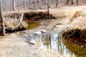 The stream crossing is made on the rocks shown here.