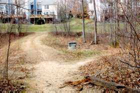 After a very short distance turn right to continue walking through the trees behind the homes.