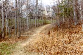 The trail continues through the trees with a drainage ditch on the left.