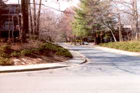 Turn left at the next intersection and take the sidewalk at Scandia Circle.