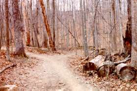 Turn right at the next trail intersection.