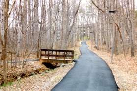 A trail intersects from the left. Continue on the present trail.