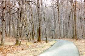 After passing the apartments the trail goes down the hill.