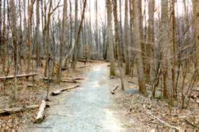 Follow the stone dust trail between the homes and the stream.