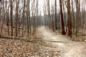 The trail crosses a culvert.