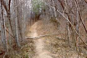 The trail crosses a gully and climbs a hill on the other side.