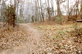 At the top of the hill a trail intersects from the right.  Continue on the present trail.