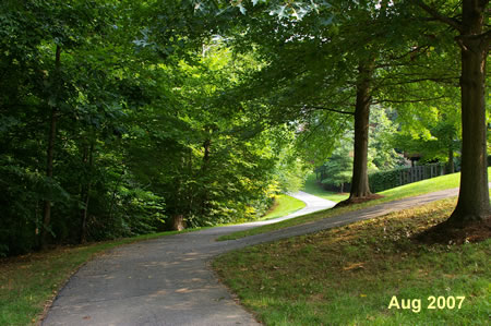 A trail intersects from the cluster on the right.  Continue straight on the present trail.