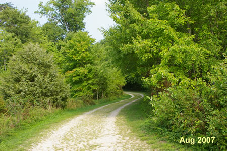 Turn right to follow the service road with the lake on the left.