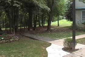 At the next sidewalk intersection turn left to follow the trail between the houses.