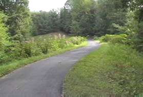 The trail passes through a small meadow with wildflowers at the bottom of the hill.