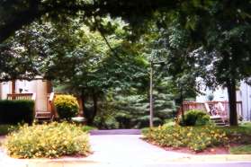 The trail crosses Chadds Ford Drive between the homes.