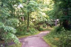 The trail to the left comes under Ridge Heights Road.  Take the trail to the right down the hill.