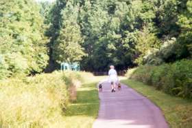 The trail crosses a bridge and turns left into a meadow.