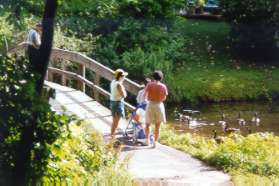 The trail crosses an inlet to Lake Thoreau.