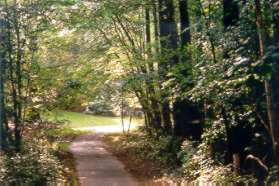 Turn right onto the asphalt path opposite from Great Meadow Dr.