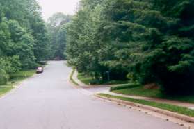 For the alternate route follow the sidewalk to the right along Upper Lake Dr.