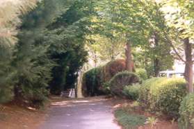 The trail goes down a small hill behind the stores at the shopping center.