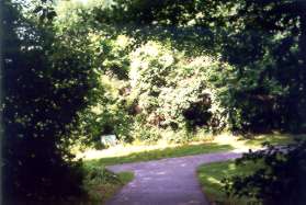 The trail to the left comes under South Lakes Dr.  Take the trail to the right.