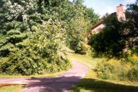 The trail to the left comes under Ridge Heights Road.  Go straight on the current path up the hill.