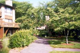 The path goes behind a group of homes. Do not take the path to the right.