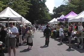 The walk starts from the parking lot of the Lake Anne Center. The farmers market is shown in part of the lot.