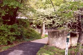 The path follows the water under North Shore Drive.