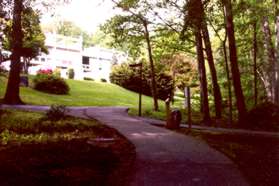 After passing under the road continue straight on the present asphalt trail. Do not turn at the numerous trail intersections.