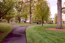 The official trail goes left at the next trail intersection. The trail to the right is a shortcut.