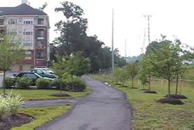 Continue straight on the asphalt trail on the other side of Reston Pkwy.