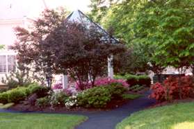 After a short distance take the asphalt path to the right by the Gazebo.