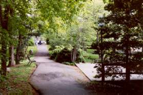 Turn left at the next asphalt path. Lake Anne will be on your right.