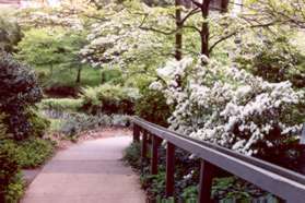 The sidewalk turns to the right and down a steep bank.