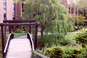 Continue across the bridge and back to the parking lot at Lake Anne to conclude the walk.