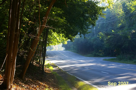 The trail intersects with Lawyers Rd.  Turn left and follow the narrow dirt trail along the shoulder of Lawyers Rd to Myrtle Ln.