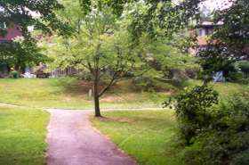 Turn right at this trail intersection in the clearing.  Stay on wide asphalt trail.