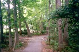 The trail to the left goes into a parking area.  Continue straight on present trail.