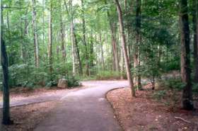 Stay to the right past 2 trails to the left shown in photo.