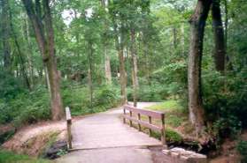 Correct trail crosses a bridge.