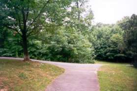 After exiting the tunnel turn left to return to South Lakes Park.