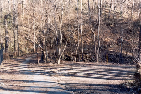 The path to the right heads towards Rock Creek.  Continue straight and up the hill on the current path