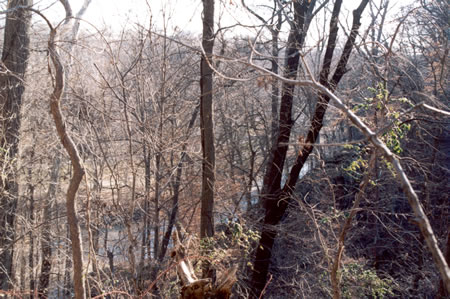 Rock Creek can be seen to the right when the leaves are off the trees.