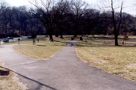 Turn right at the first intersecting asphalt path to the right.