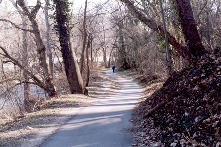 After crossing the bridge the path turns left and continues following Rock Creek.