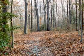 Stay on the stone dust trail for its' entire length.